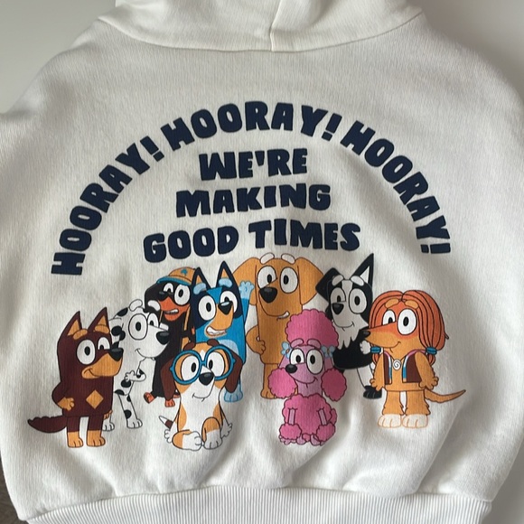 Bluey Hoodie - Picture 2 of 2